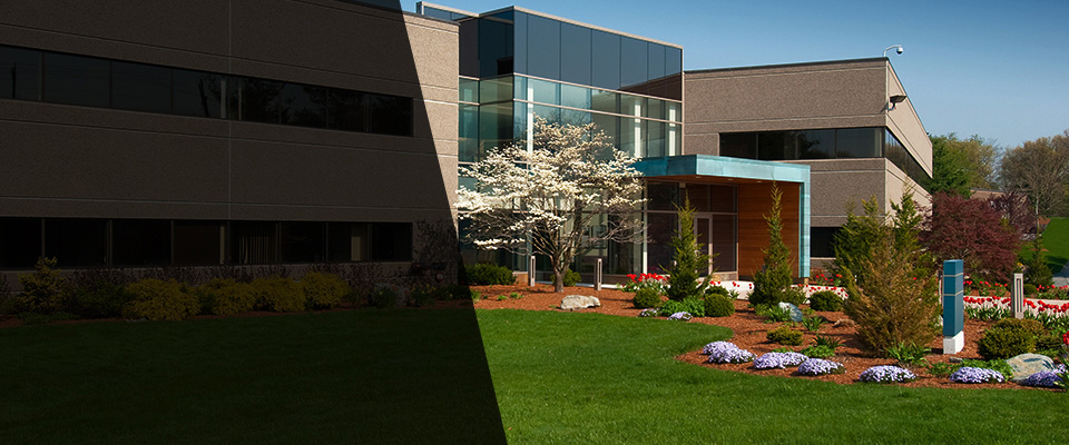 Worcester Landscapers