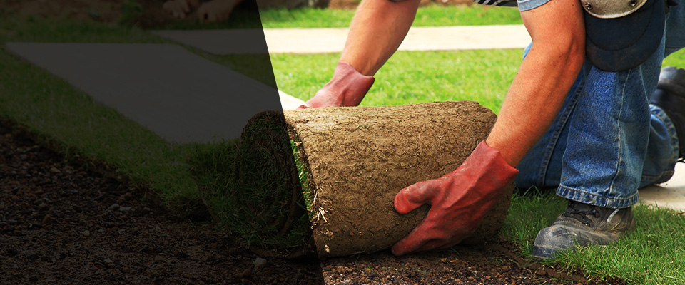 Worcester Landscapers